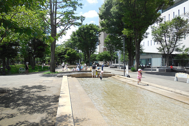 写真：池流れ池流れ②