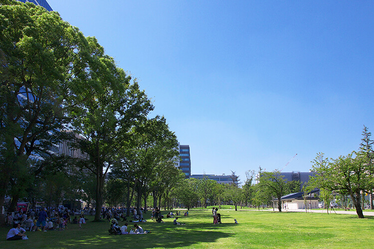 写真：多目的広場