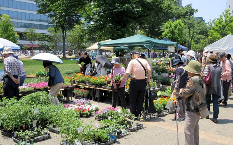 写真：イベント風景のイメージ②